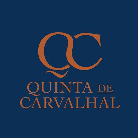 Villa Quinta De Carvalhal - Casa Da Vinha Guimarães Esterno foto