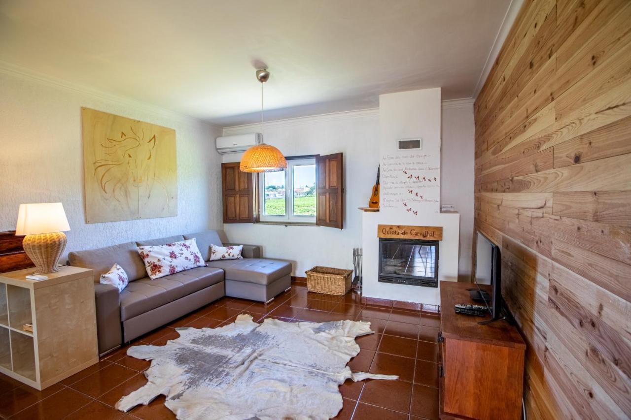 Villa Quinta De Carvalhal - Casa Da Vinha Guimarães Esterno foto