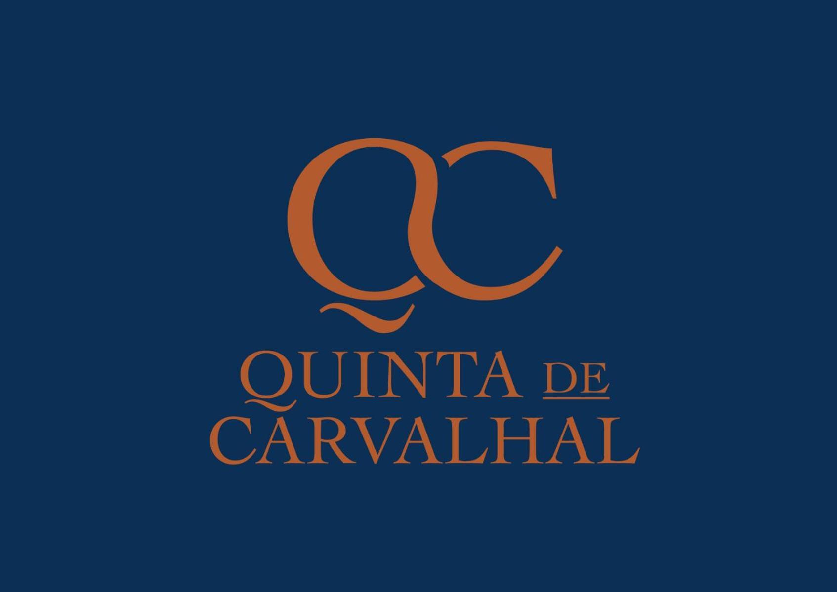 Villa Quinta De Carvalhal - Casa Da Vinha Guimarães Esterno foto