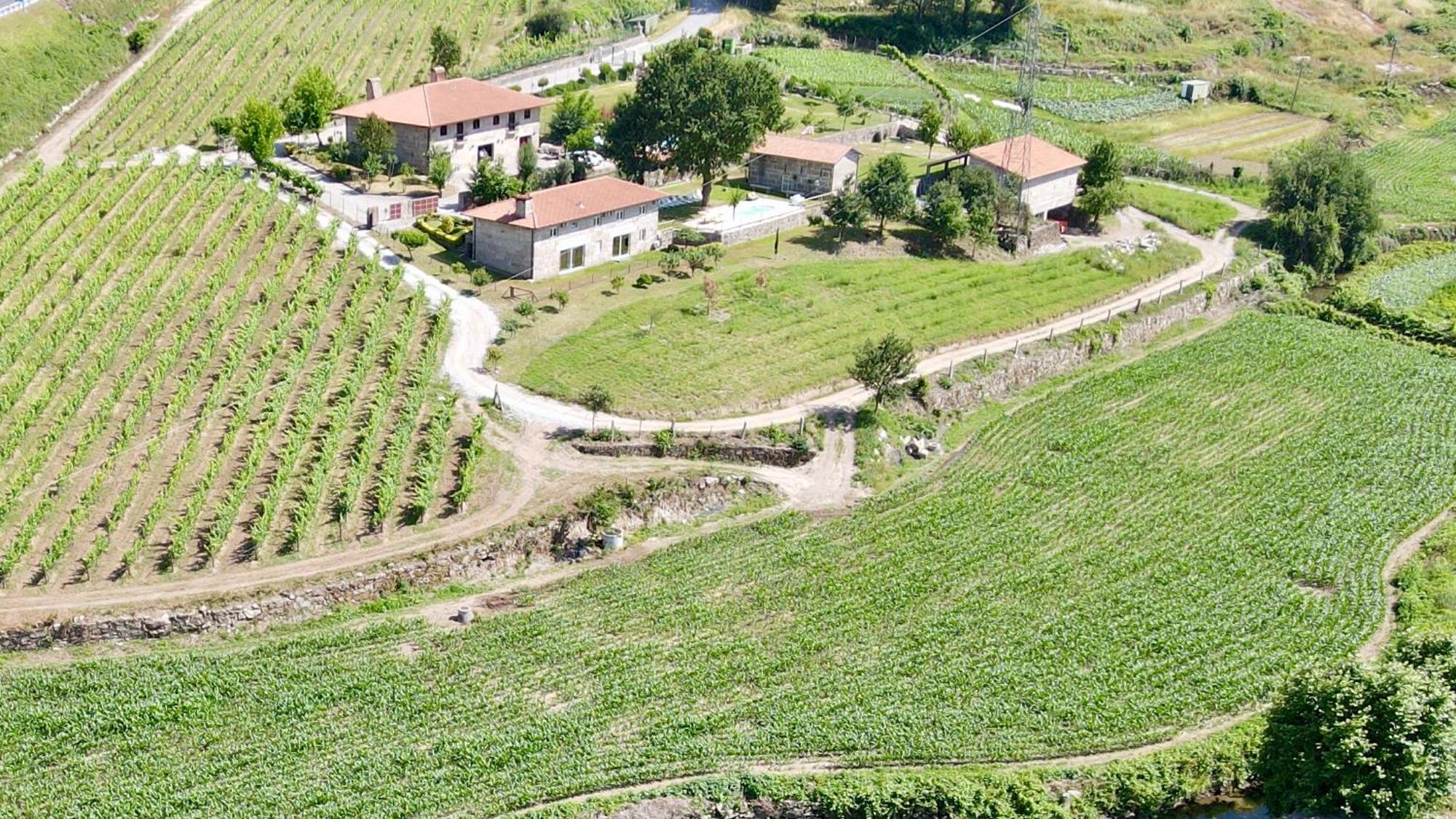 Villa Quinta De Carvalhal - Casa Da Vinha Guimarães Esterno foto